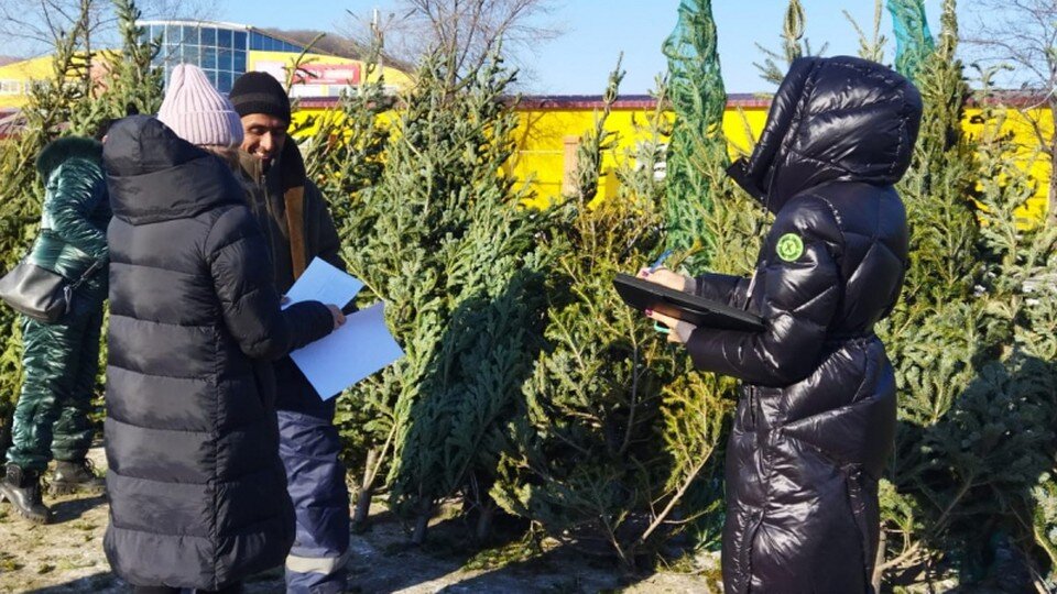     По итогам проверок составлено десять протоколов об административных правонарушениях  УМВД России по Приморскому краю