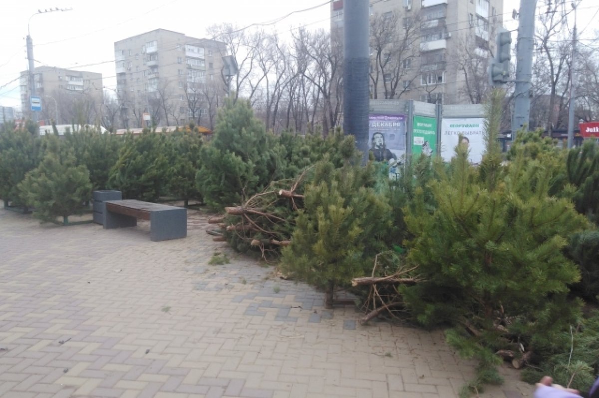    В Ростове-на-Дону вывоз мусора в праздники взяли на особый контроль