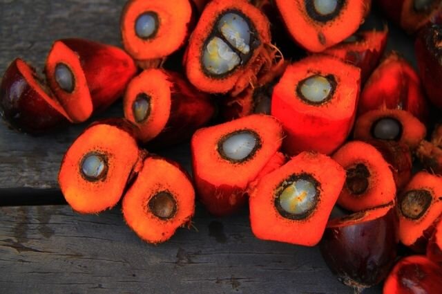 Специалист рассказала о пользе пальмового масла pixabay.com