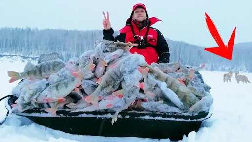 ПОЕХАЛ НА РЫБАЛКУ, НО ЧТО ТО ПОШЛО НЕ ТАК....