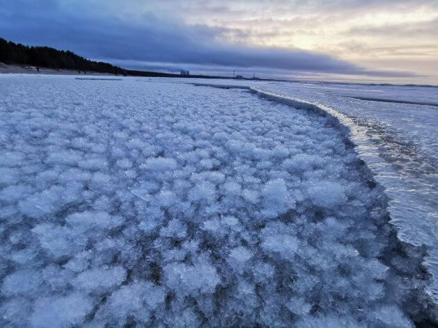    Фото: 47news.ru