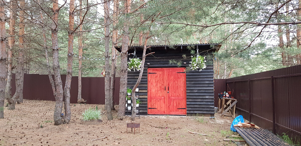 Анфас моей первой "пробы пера" в виде строений на участке