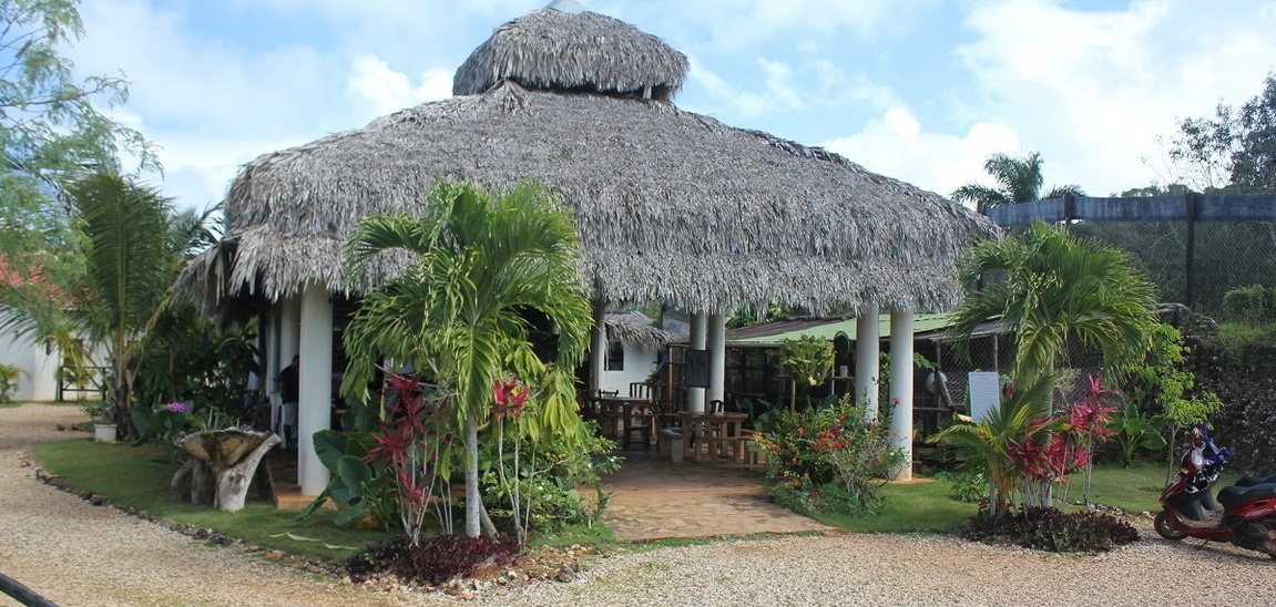 Офис Monkey Jungle & Zip Line Adventures