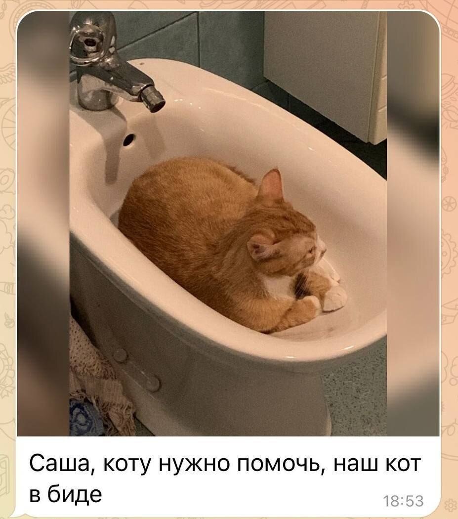 картинка из инета