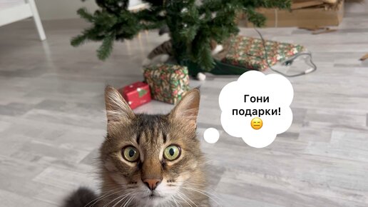 Картина «Коты и новогодние подарки»