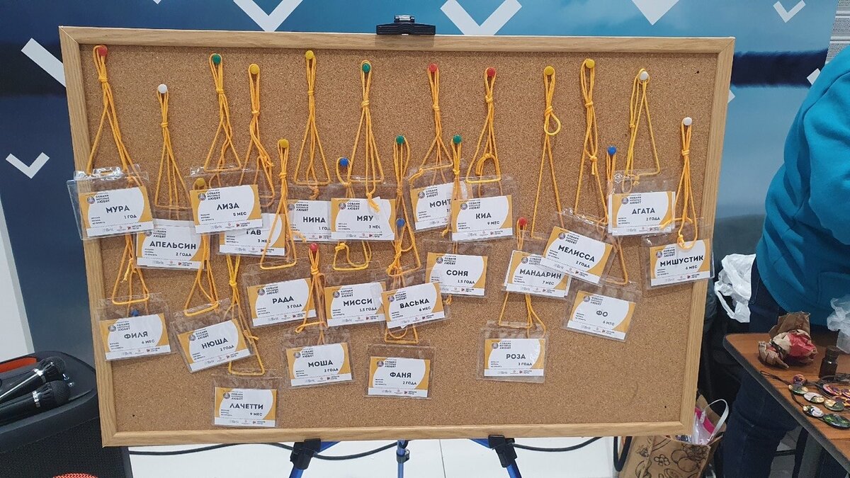 Фото-собственность канала