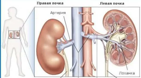 CARBO - #карбоплатин** 200 мг/м2/сут в/в капельно за 1 час - 1, 2, 3 дни, в недели 4, 10, 13, 16, 22, 25, 28, 34. 
Режим 1 (интенсивный VCRJ>_[ 60]