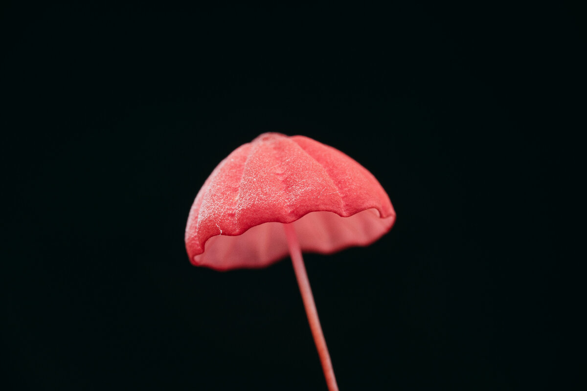 Не знаю, к чему это... просто красиво :) Photo by Timothy Dykes on Unsplash