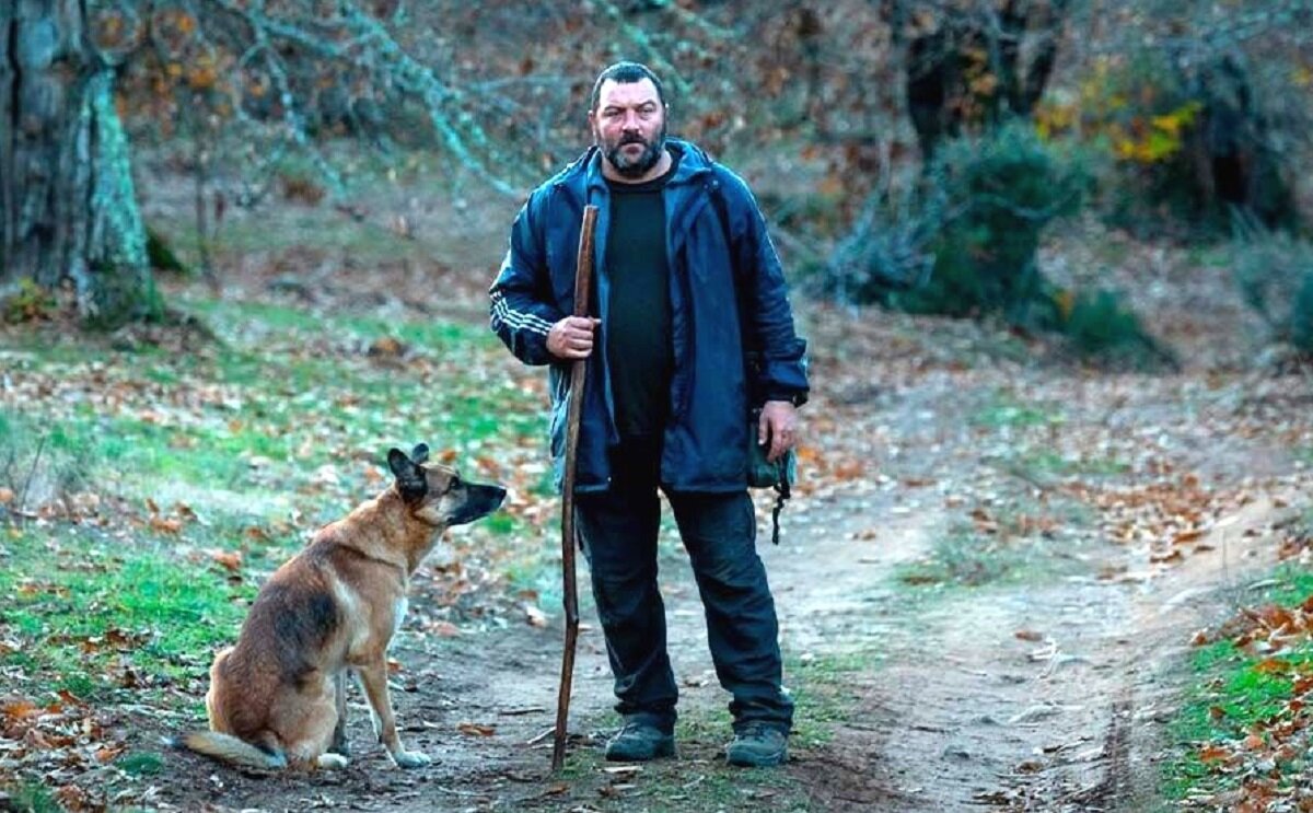 - Вот смотрю я на тебя, мужик, и думаю: а я-то с какого перепуга попёрся за тобой в лес свой мохнатый зад морозить? Грибы я не ем, а кучку мог бы с тем же успехом навалить и на газон соседу!  