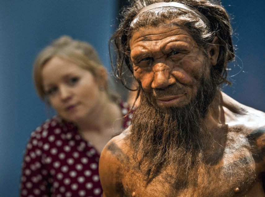    Неандертальцы по когнитивным способностям, возможно, не уступали Homo Sapiens