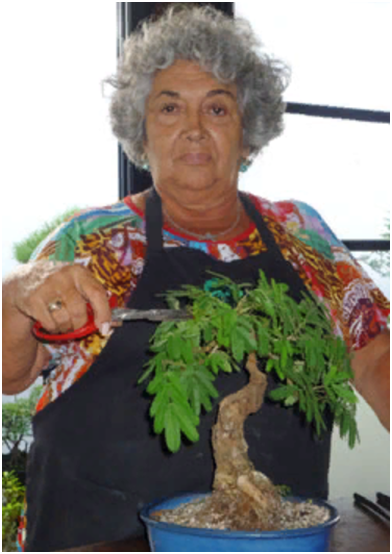 Источник: https://www.economiayviveros.com.ar/abril2010/profesionales-floricultura_viveristas.html