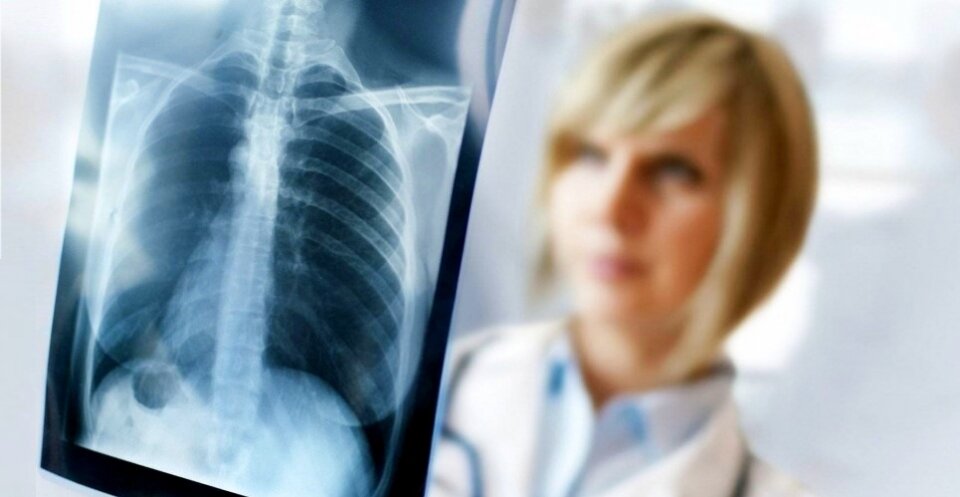 Фото: из общедоступных источников