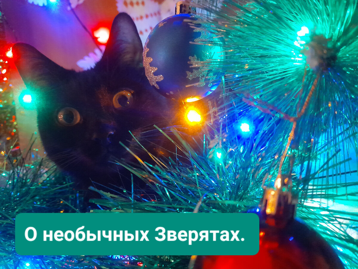 Знакомство с вами.