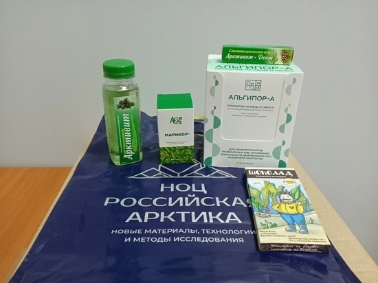     Фото пресс-службы НОЦ "Российская Арктика"
