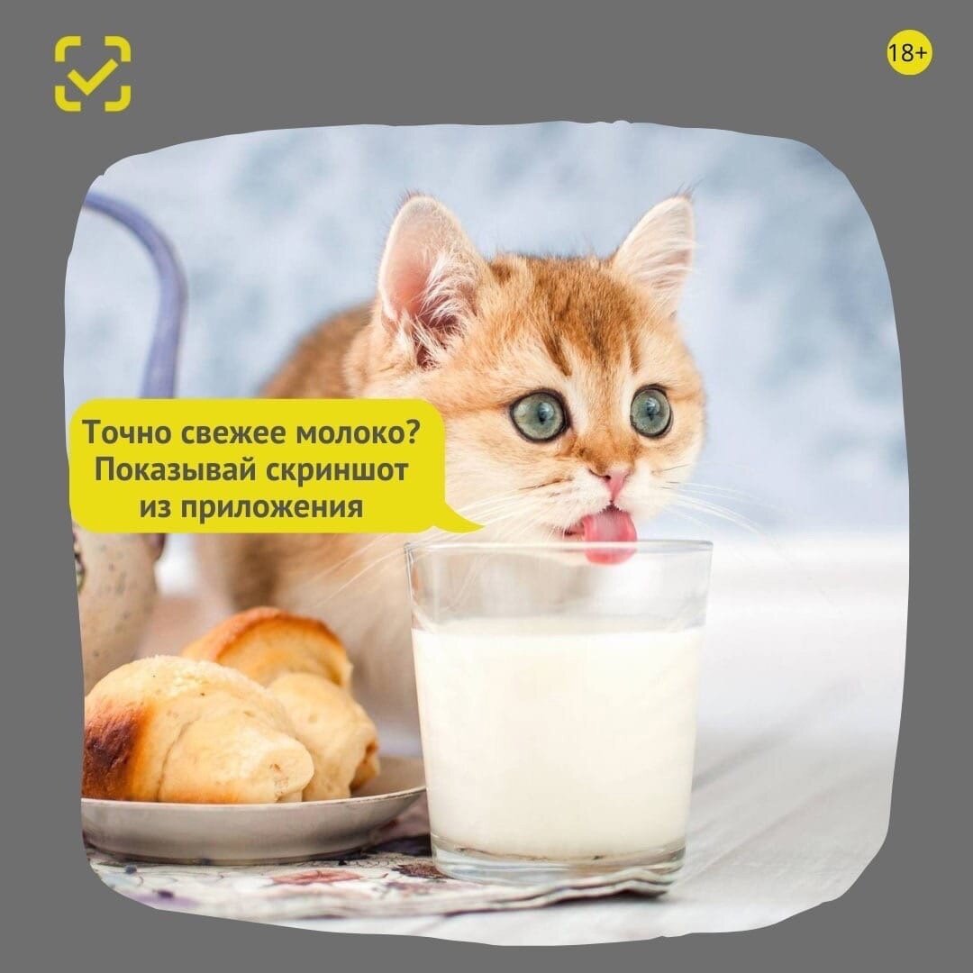 Доверяй, но проверяй: крупный сетевой магазин будет бороться с просроченной молочкой