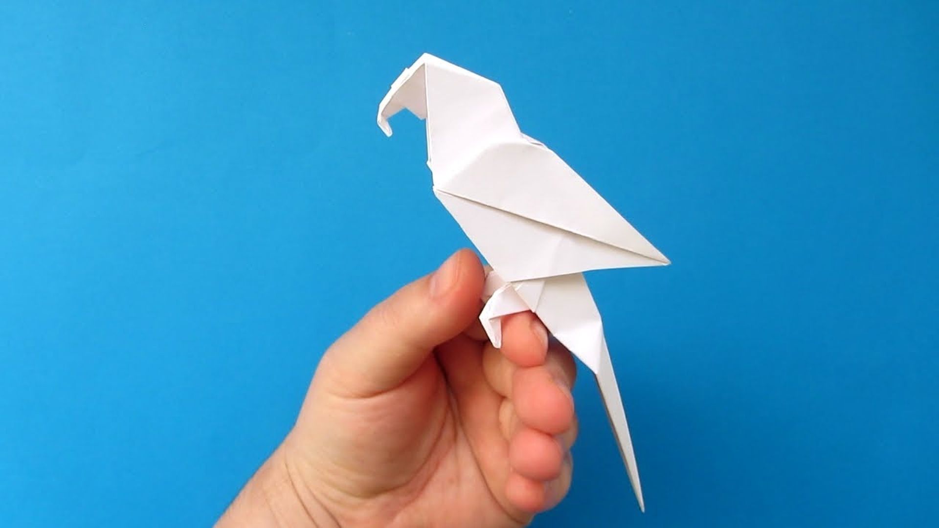 Модульное оригами попугай