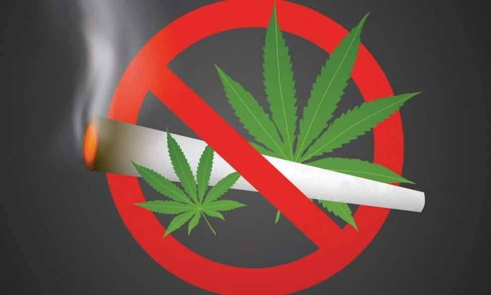 картинка из интернет-источника