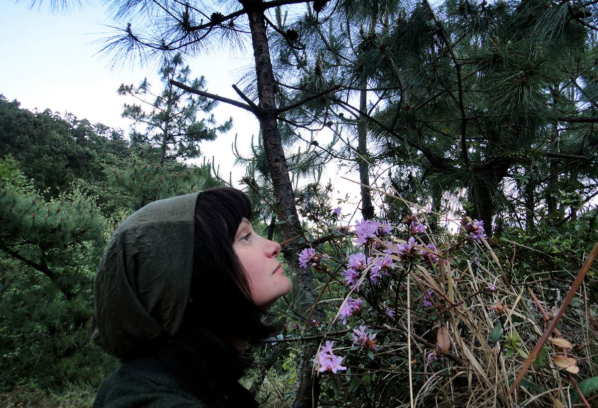 Дневник послушницы дзен храма "У Вэй" (Китай)