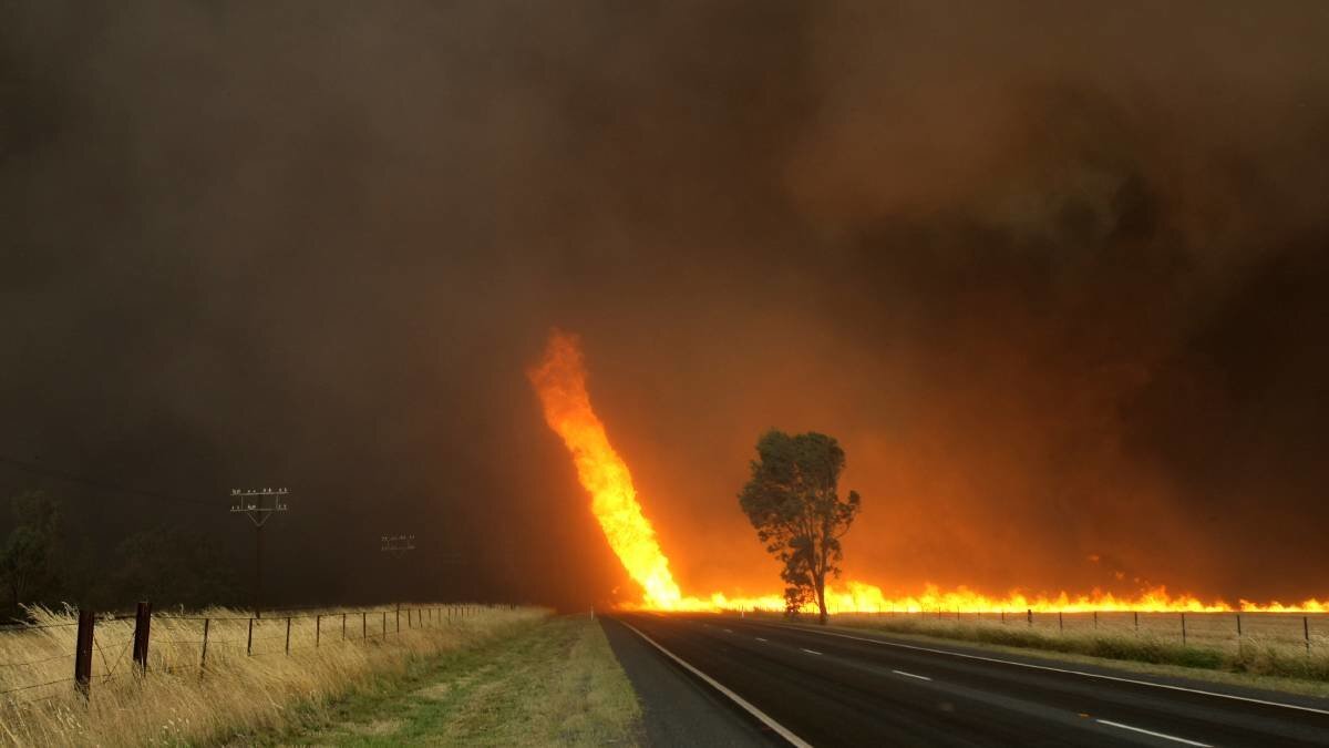 источник: yandex.ru