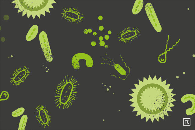 Ковид бактерия. Споры бактерий виды. Спора бактерии. Spore бактерия.