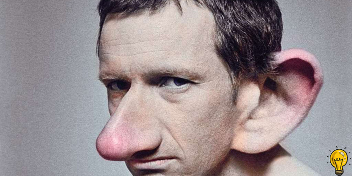 Нос и уши в организме человека, никогда не прекращают расти. Вот почему пожилые люди имеют большие уши и нос!