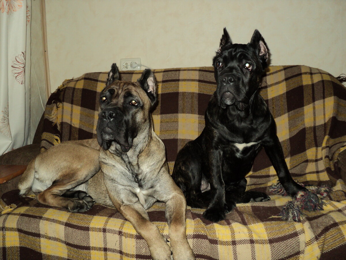 Снимок сделан где-то через недельку после получения перчатки с доставкой из Москвы в Самару ТК "Тора".