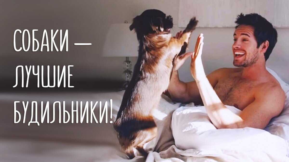 С добрым утром мир! Пора просыпаться!