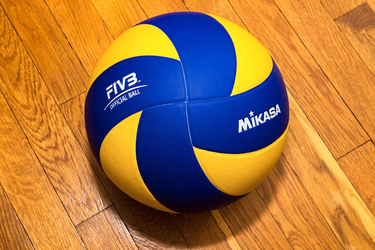 Pelota de volleyball