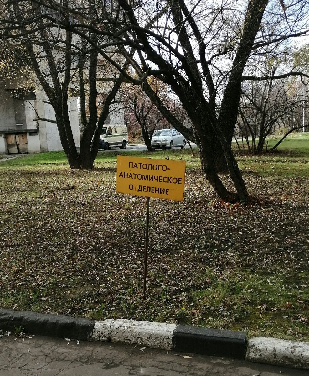 Когда ещё жив, но уже побывал у патологоанатома)