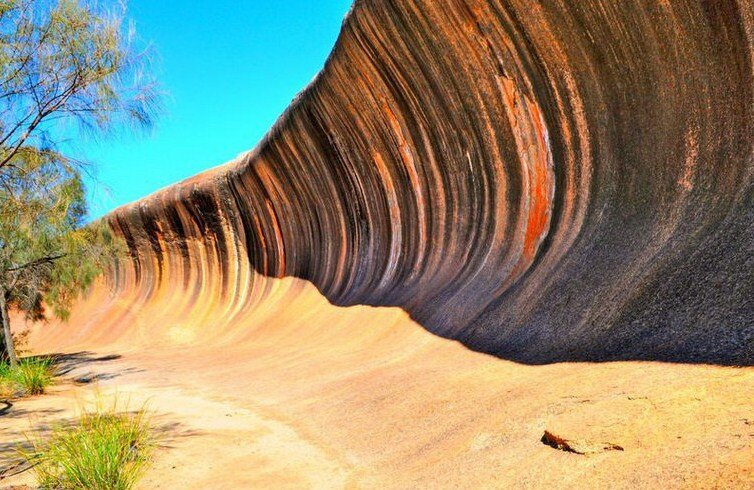 Фото: Яндекс картинки
