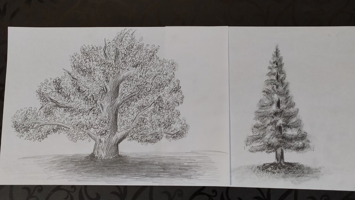 дерево и ёлка