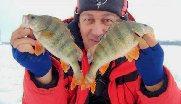 Фото автора. Окунь со льда, на безмотылку.