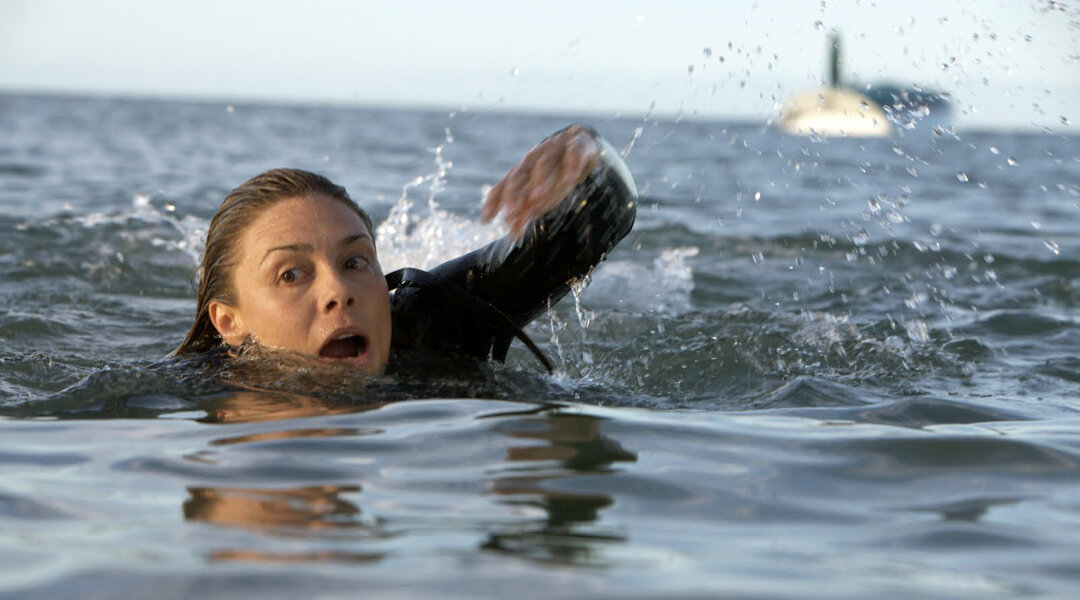 Фото с сайта Яндекс картинки