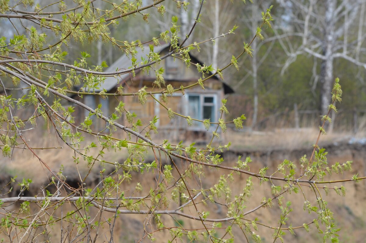 На берегу реки. Фото автора