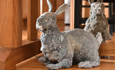 Зайчик из пыли :D