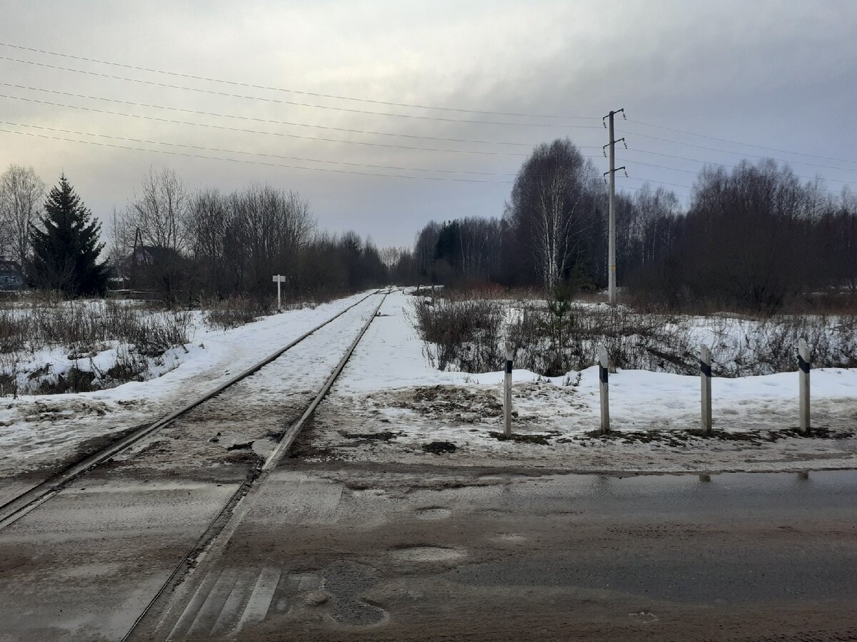 Вид в сторону станции Чагода. 