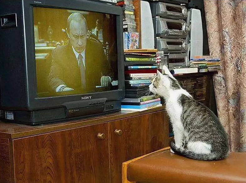 dopoffice.ru