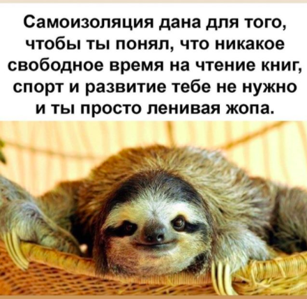 И это нормально