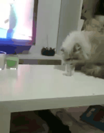 Жми на котика, чтобы посмотреть видео. 