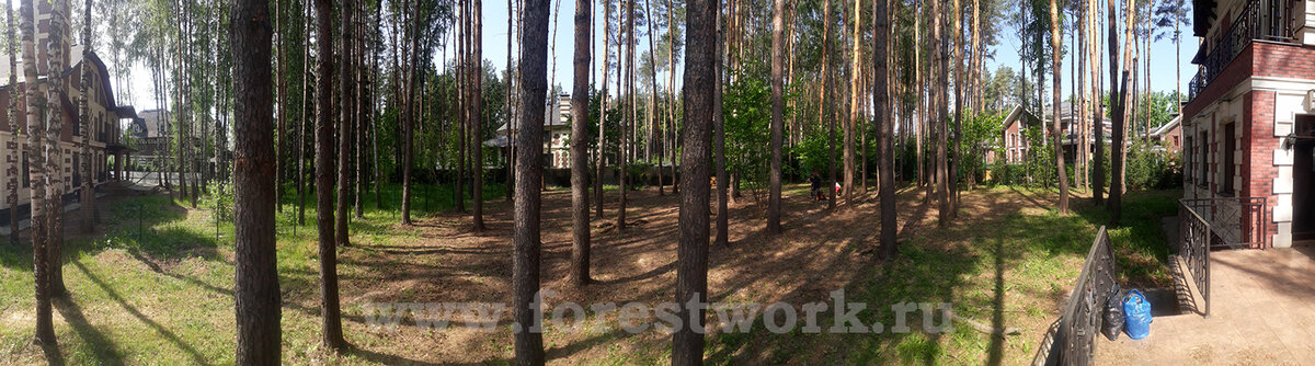 Парковая зона, созданная "Форестворк" в коттеджном поселке Новогорск-7.