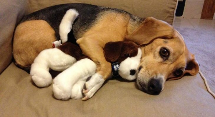 Фотоматериал: http://vicer.ru