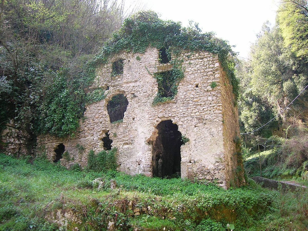 Wikimedia Commons