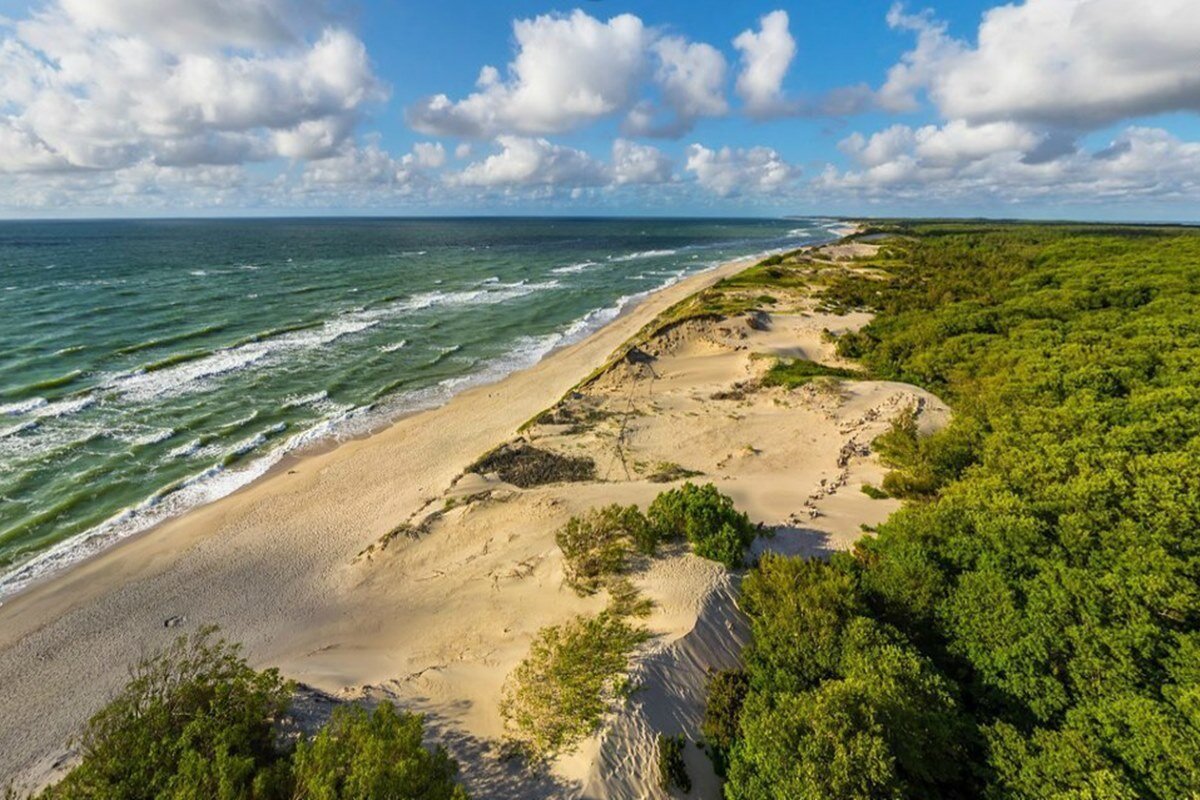 Источник Яндекс Картинки