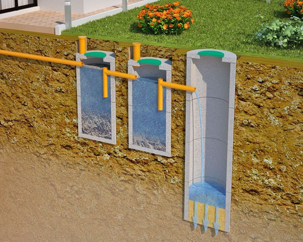 септики жби