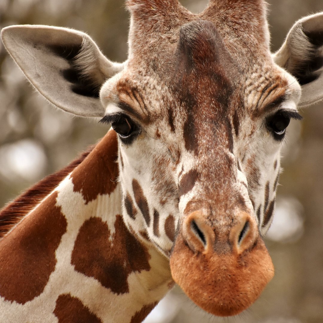 Знакомьтесь - Федор