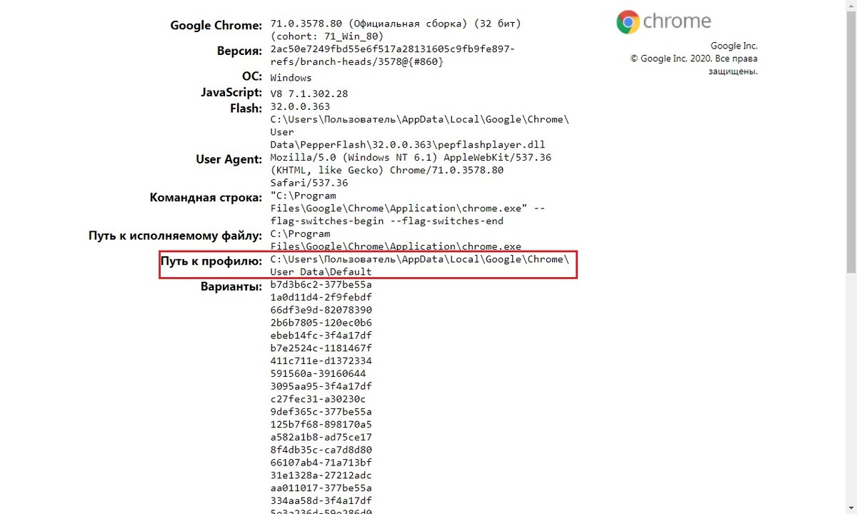 Переход по адресу chrome://version открывает полезную страничку, но, как оказалось, полезную не всегда (фото: автора)