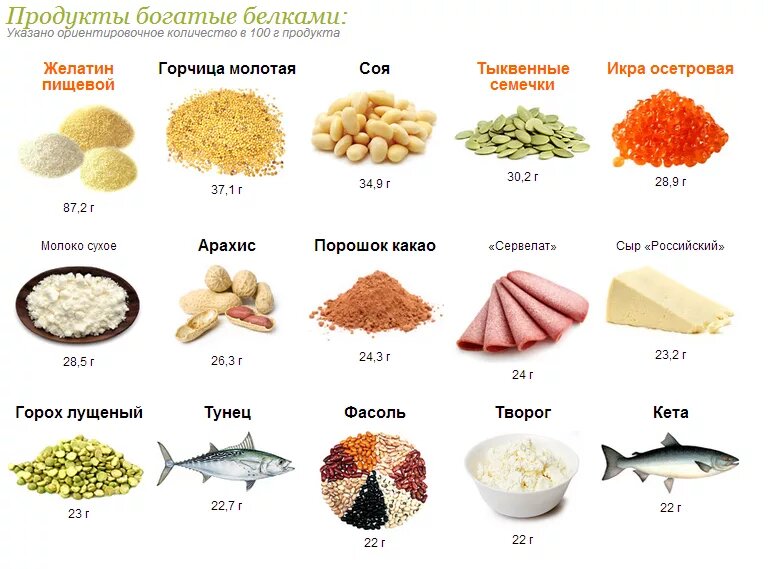 Продукты богатые белком
