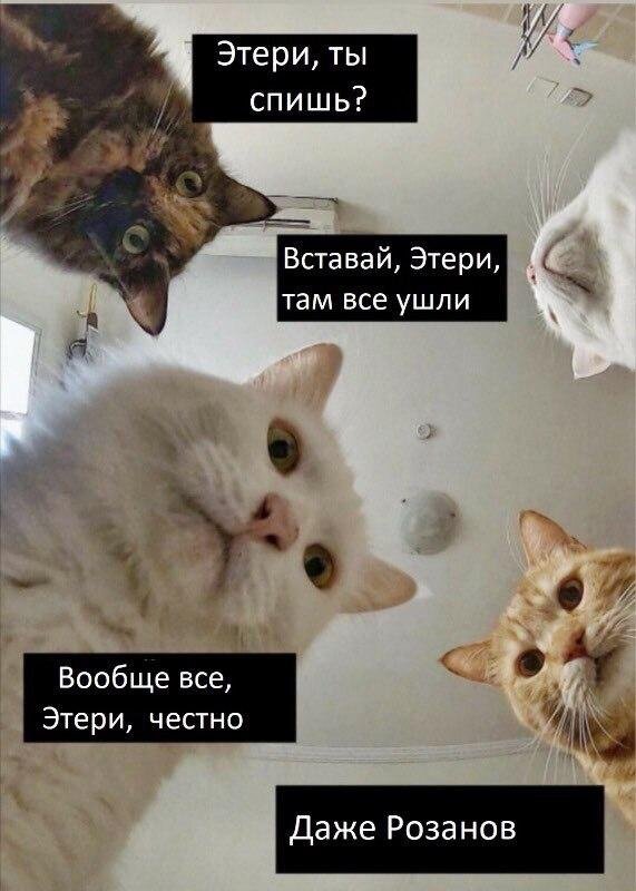 Автора картинки найти не смогли