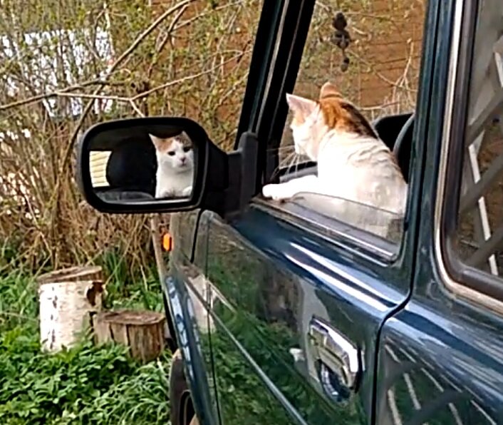 Автолюбительница :))