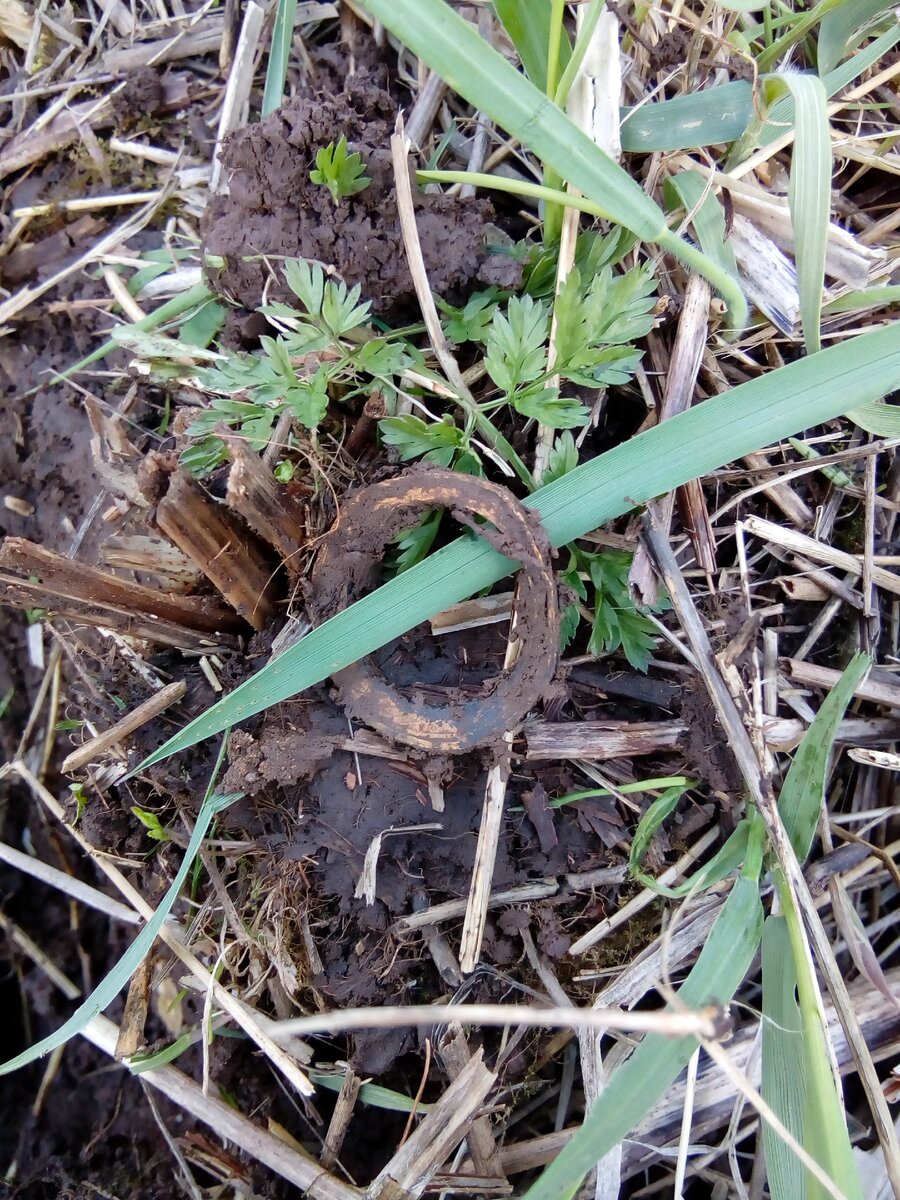 Кольцо из советского пятака